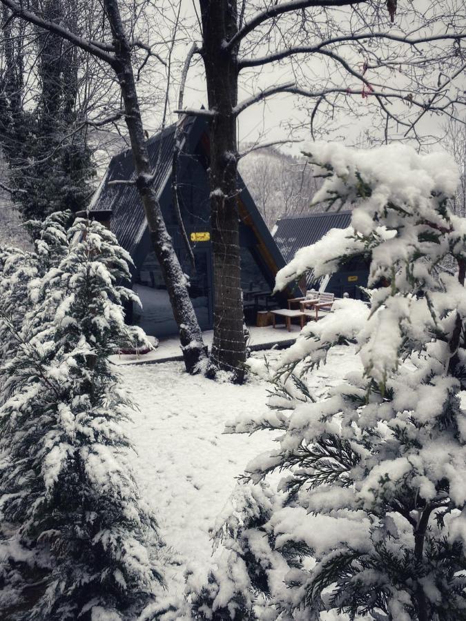 Loca Sapanca Bungalov Dış mekan fotoğraf