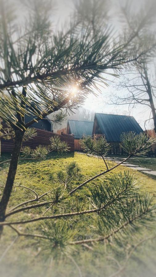 Loca Sapanca Bungalov Dış mekan fotoğraf